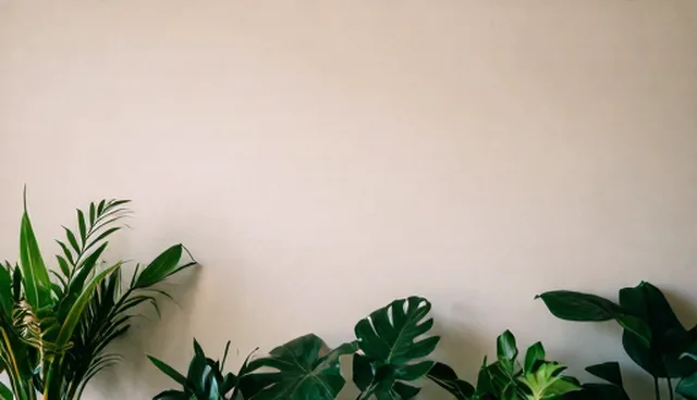 技术外包服务中人员流动对成果转化效率的影响